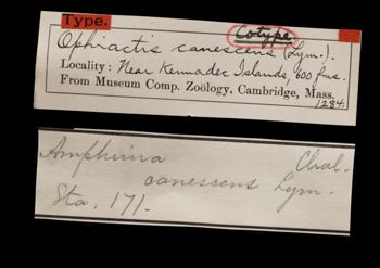 Media type: image;   Invertebrate Zoology OPH-1284 Aspect: labels